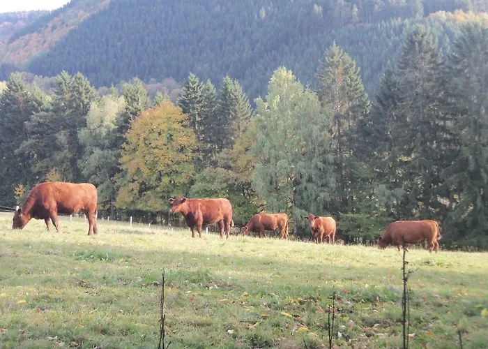 Urlaub Auf Dem Bauernhof